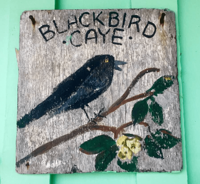 blackbirdcayesign.png